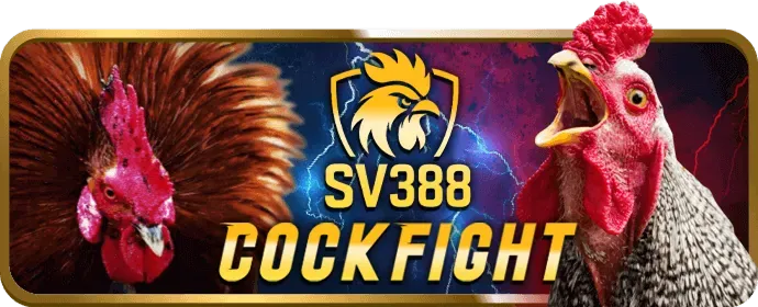 Video slot với đồ họa hiện đại và tính năng thưởng